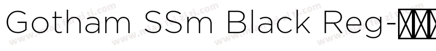 Gotham SSm Black Reg字体转换